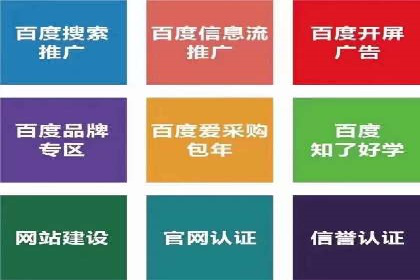 SEO策略在电商平台的成功应用案例